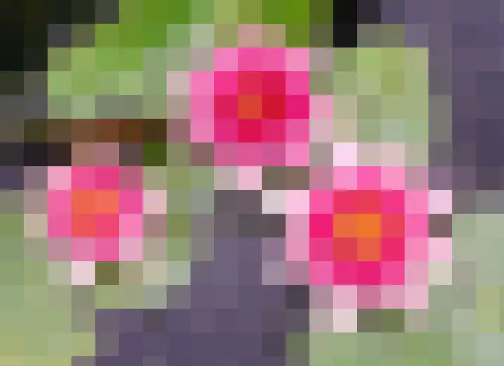 Vestingwal 47 B Geldrop thumbnail 30