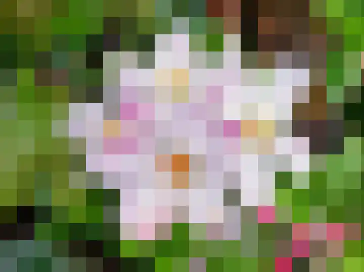 Vestingwal 47 B Geldrop thumbnail 32