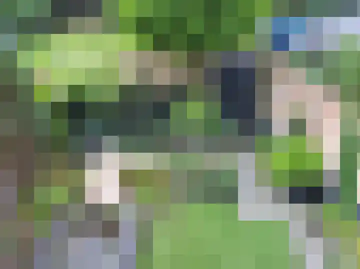Vestingwal 47 B Geldrop thumbnail 33