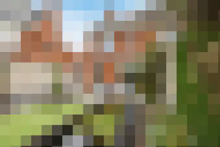 Vestingwal 47 B Geldrop thumbnail 34