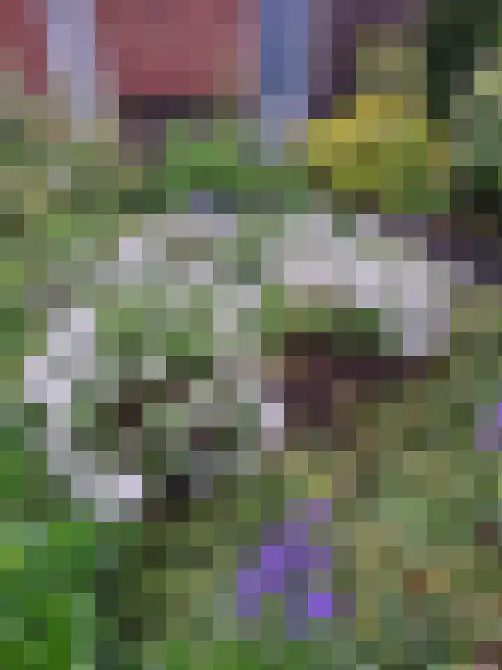 Vestingwal 47 B Geldrop thumbnail 37