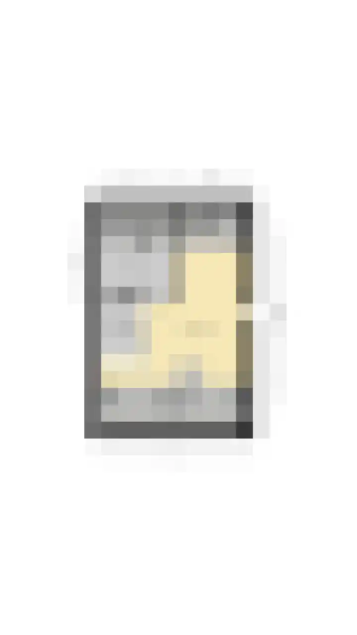 Vestingwal 47 B Geldrop thumbnail 42