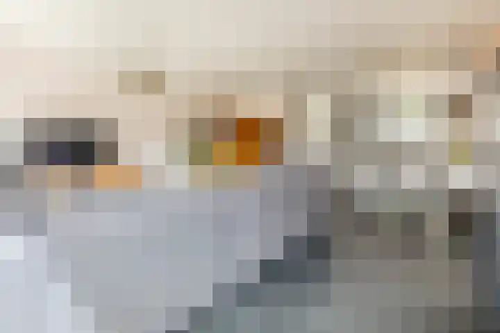 Vestingwal 49 Geldrop thumbnail 10