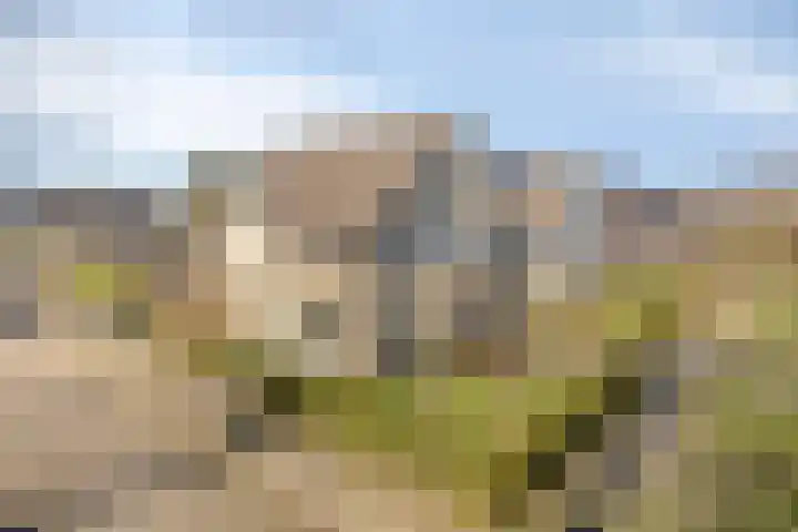 Vestingwal 49 Geldrop thumbnail 19