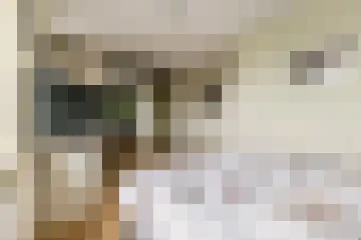 Vestingwal 49 Geldrop thumbnail 20