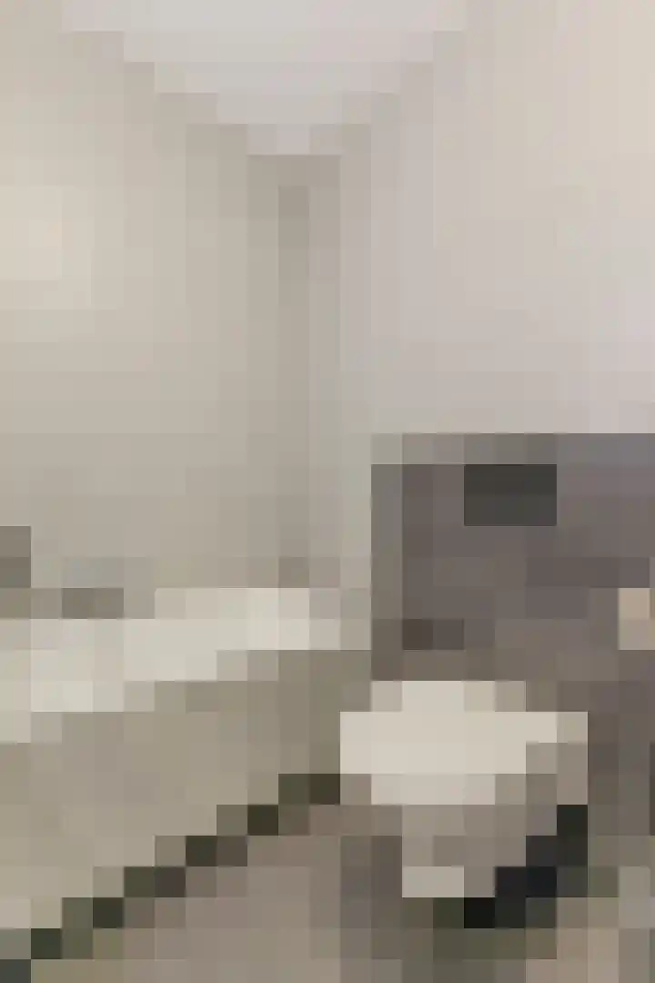 Vestingwal 49 Geldrop thumbnail 29