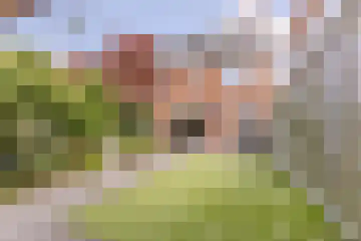 Vestingwal 49 Geldrop thumbnail 39