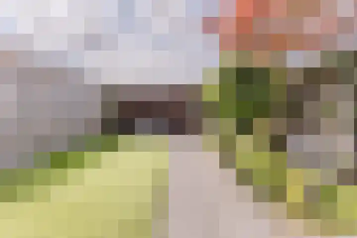 Vestingwal 49 Geldrop thumbnail 42