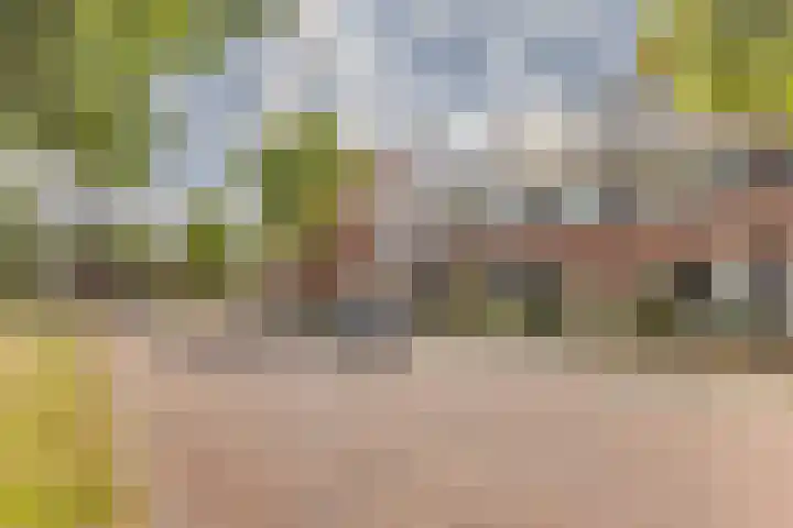 Vestingwal 49 Geldrop thumbnail 46