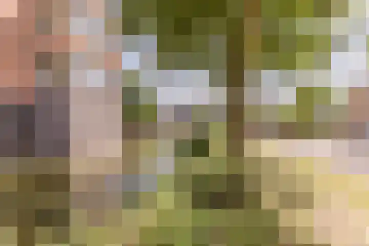 Vestingwal 49 Geldrop thumbnail 48