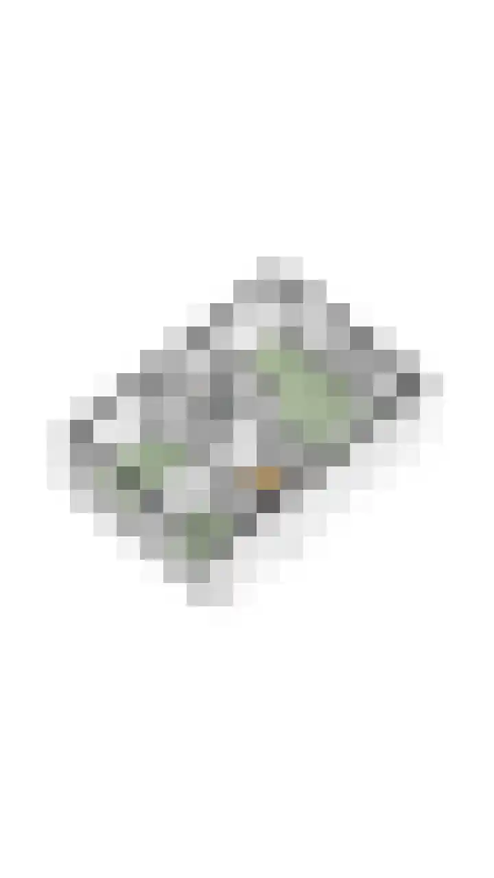Vestingwal 49 Geldrop thumbnail 54