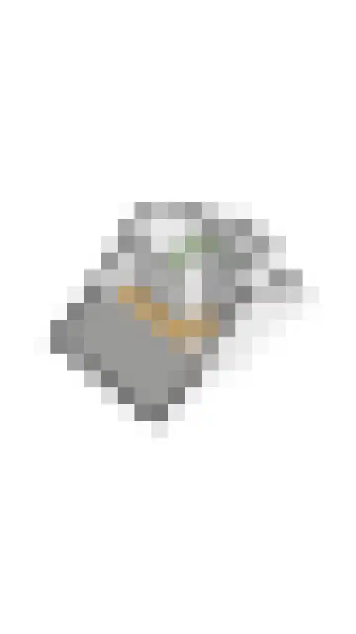 Vestingwal 49 Geldrop thumbnail 55