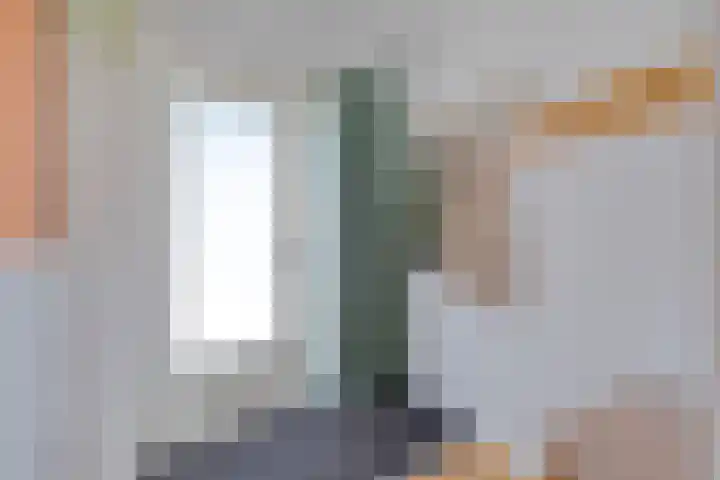 Vestkant 125 Breda thumbnail 5