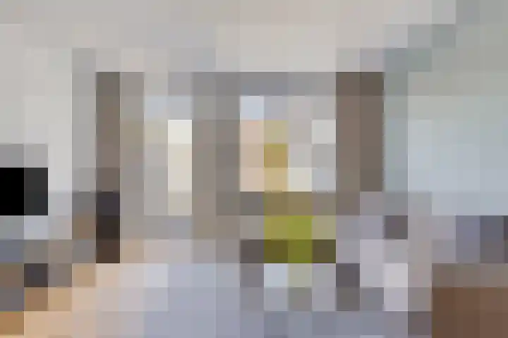 Vestkant 125 Breda thumbnail 7
