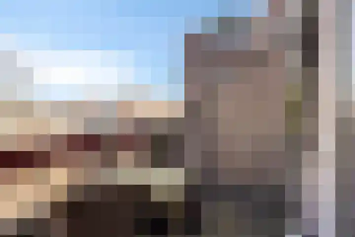 Vestpoort 21 Delft thumbnail 16
