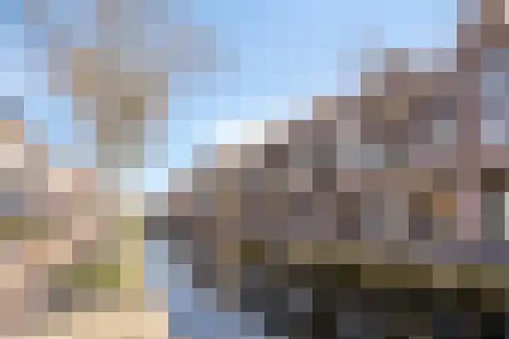 Vestpoort 21 Delft thumbnail 19