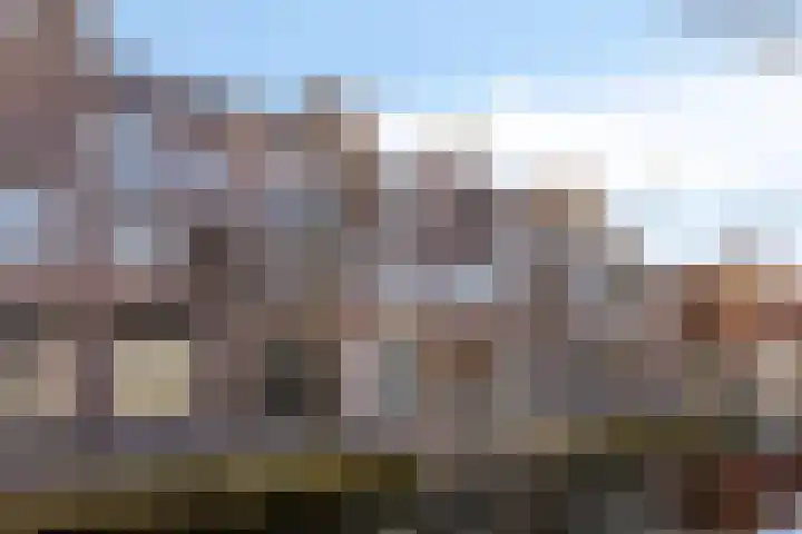 Vestpoort 21 Delft thumbnail 20