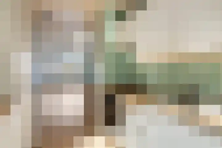 Vestpoort 21 Delft thumbnail 9
