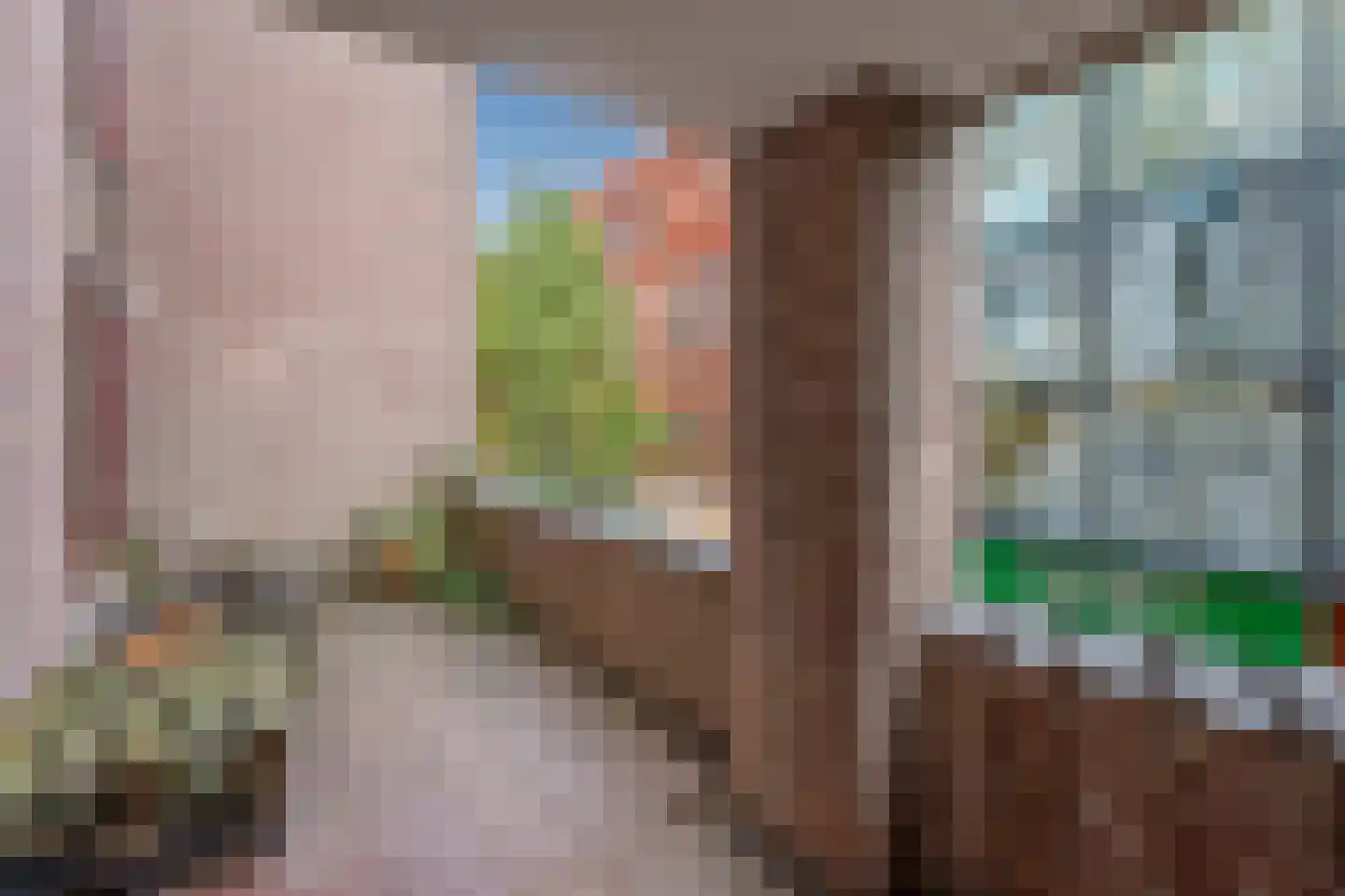 Vestpoort 3 Delft thumbnail 8