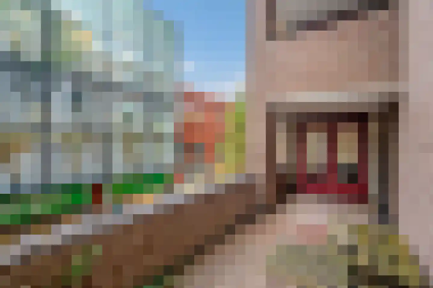 Vestpoort 3 Delft thumbnail 9