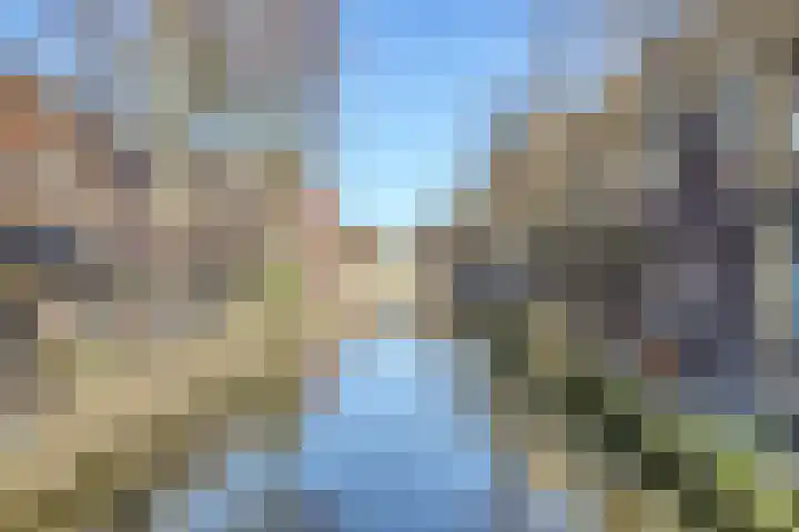 Vestpoort 41 Delft thumbnail 10
