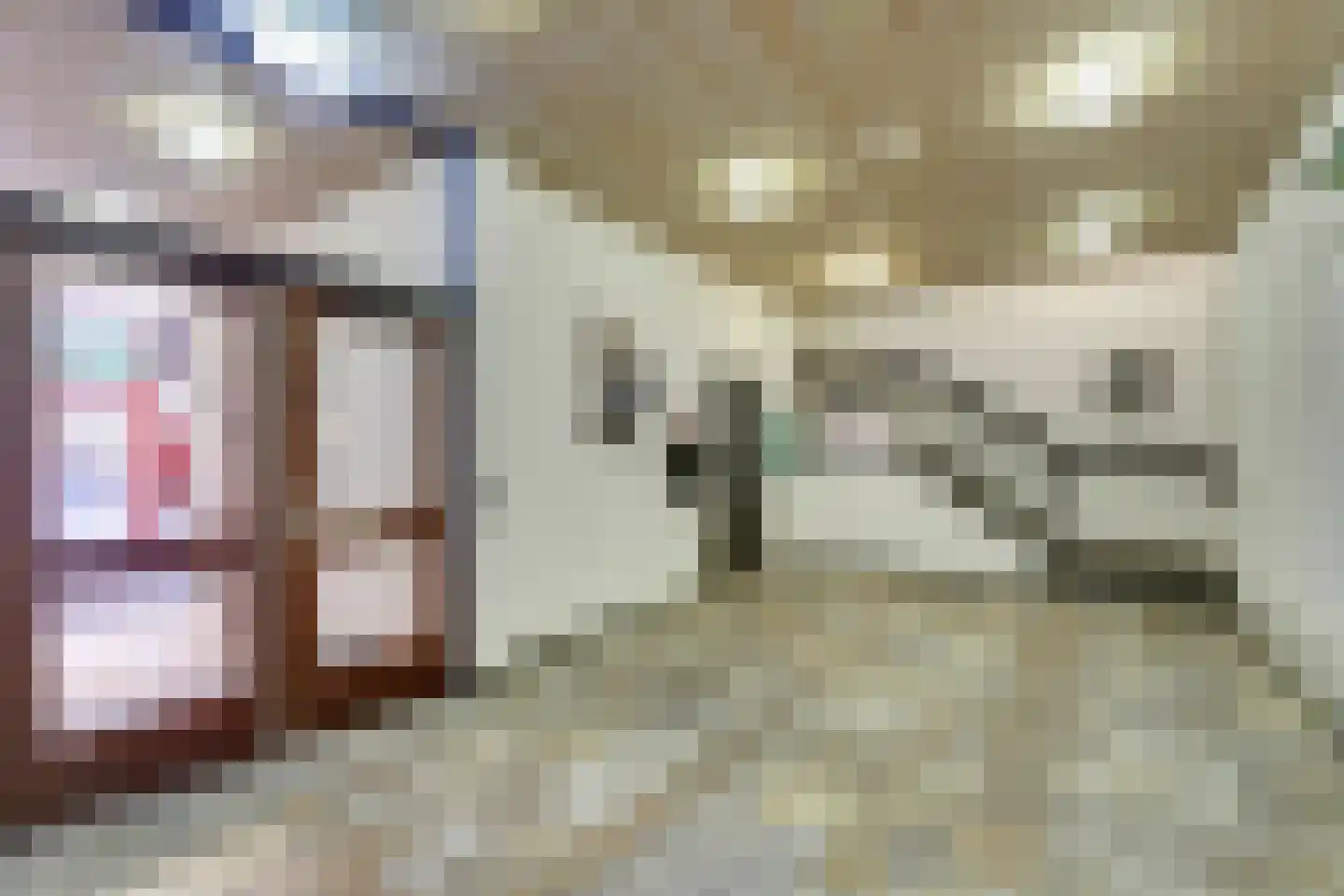 Vestpoort 41 Delft thumbnail 11