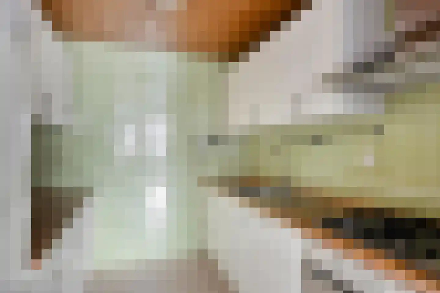 Vestpoort 43 Delft thumbnail 10