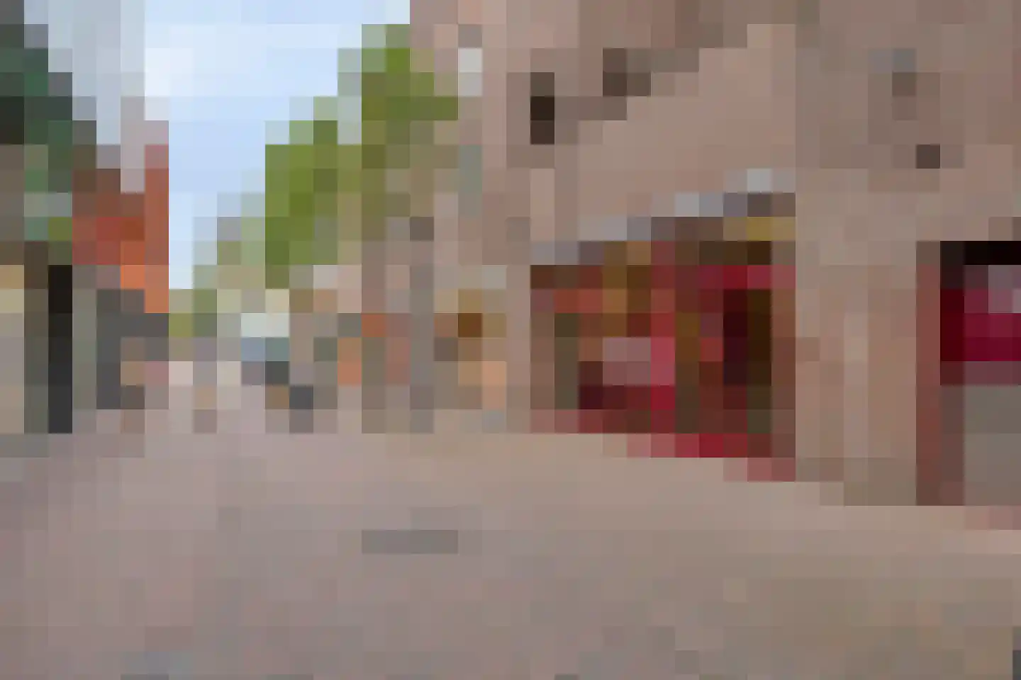 Vestpoort 43 Delft thumbnail 23