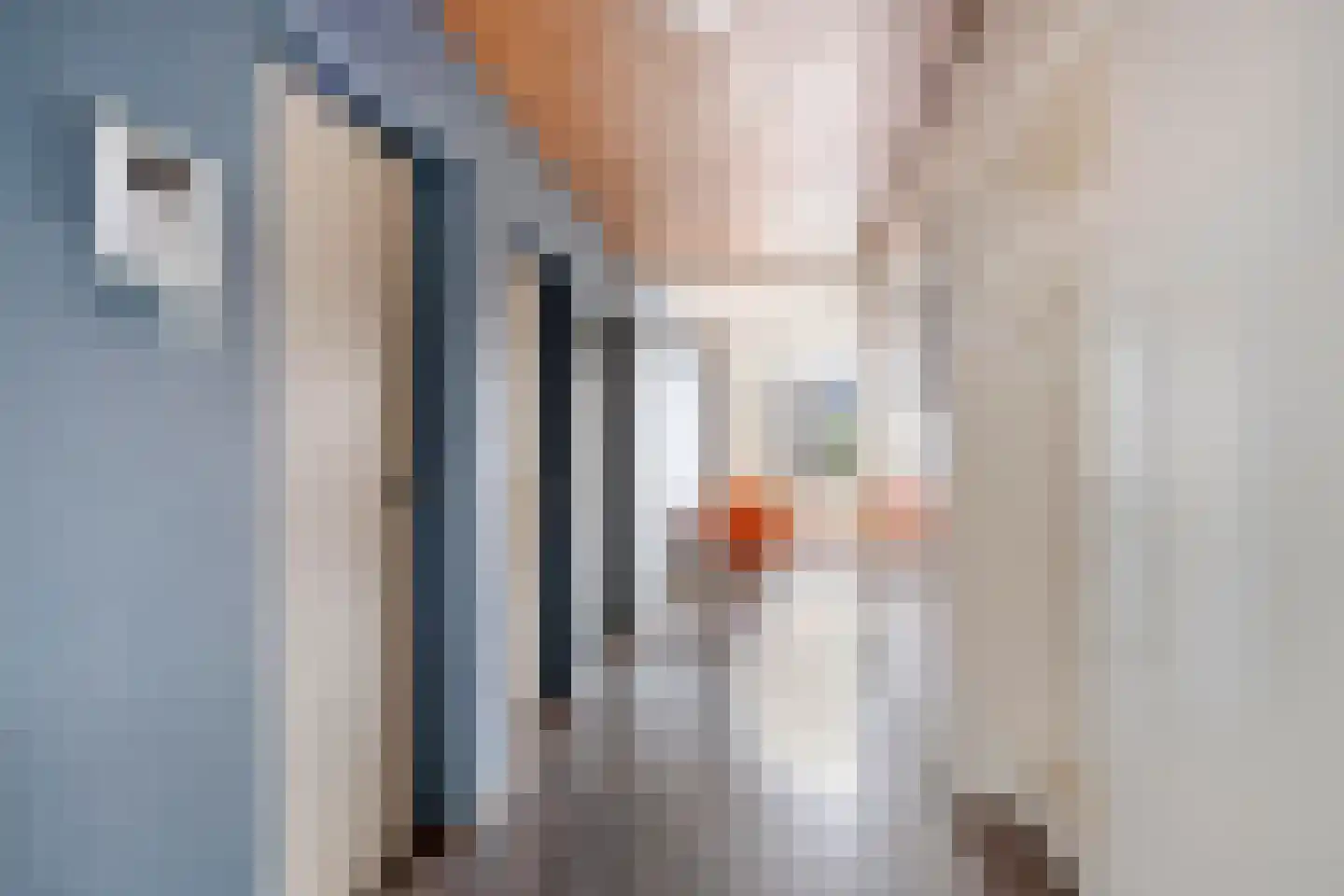 Vestpoort 43 Delft thumbnail 6