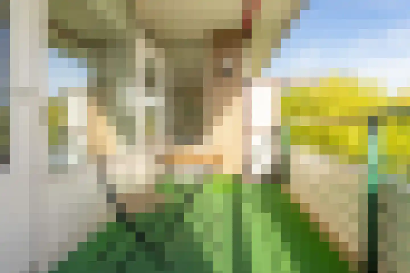 Vesuvius 19 Amstelveen thumbnail 13