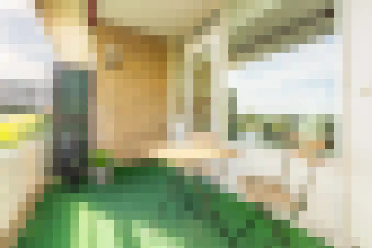 Vesuvius 19 Amstelveen thumbnail 17