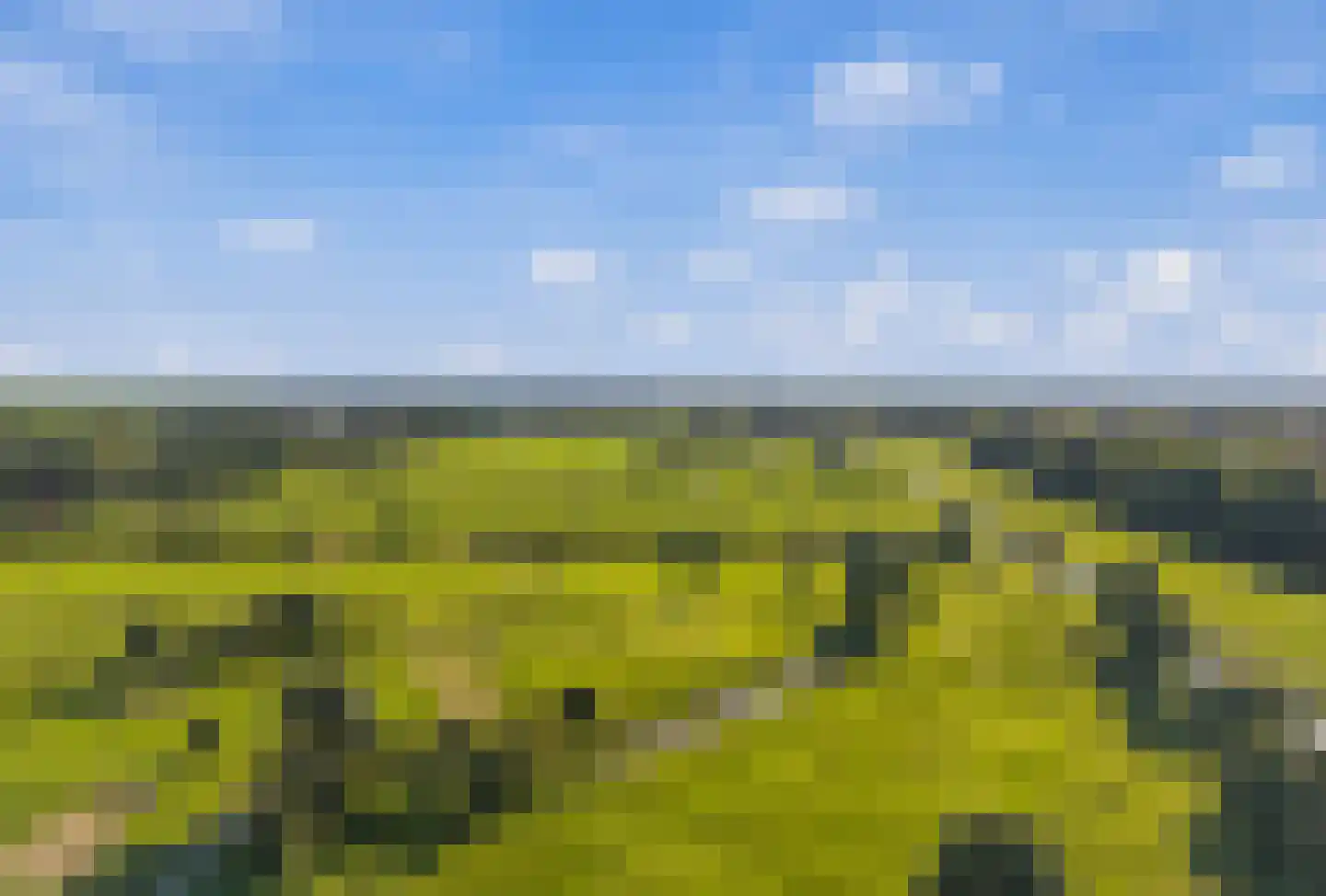 Vesuvius 22 Amstelveen thumbnail 31