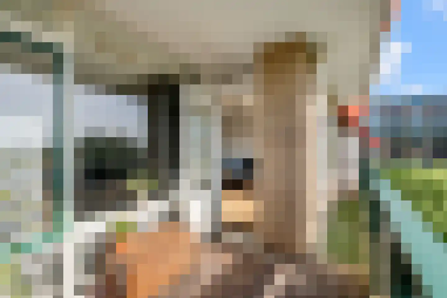 Vesuvius 26 Amstelveen thumbnail 14