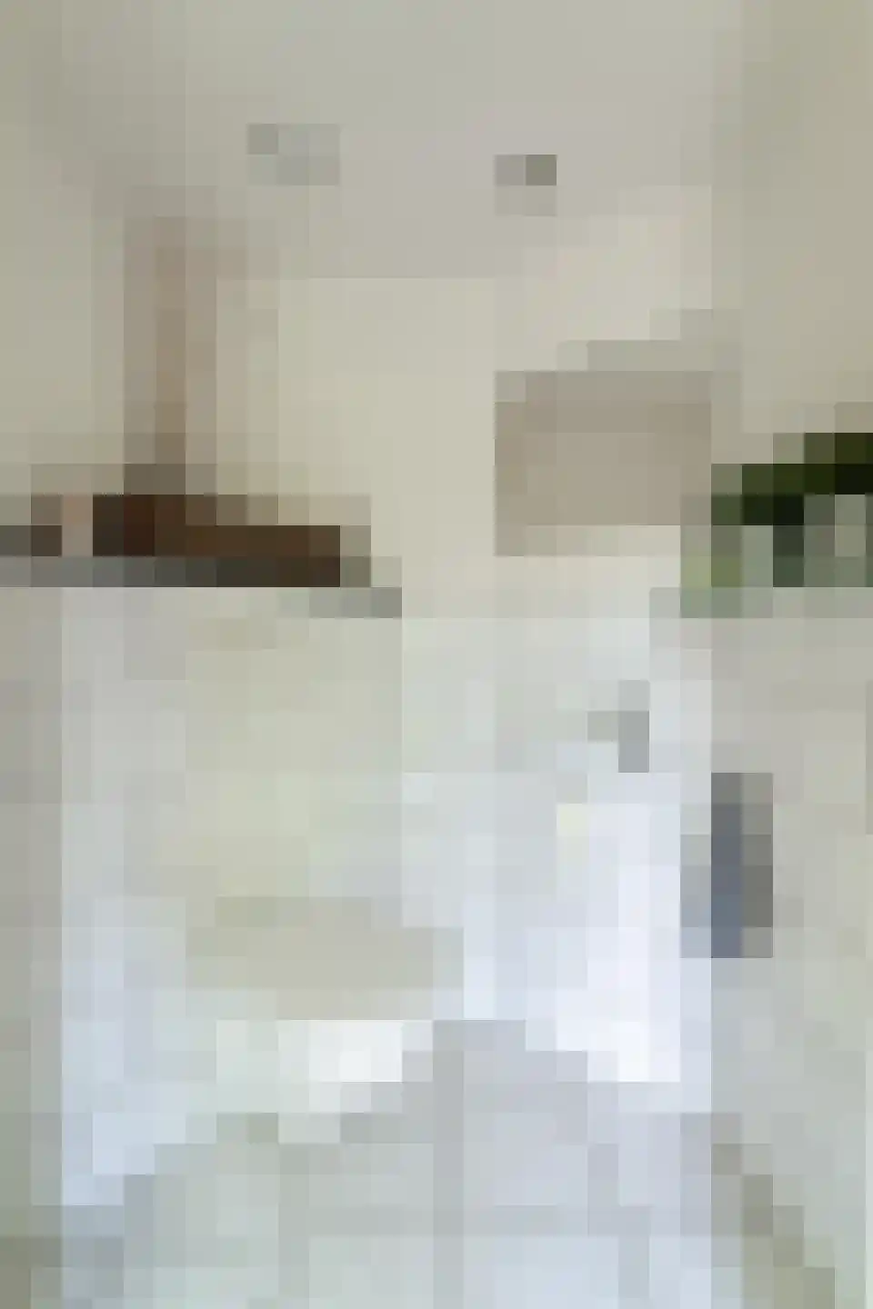 Vethstraat 6 Duiven thumbnail 10