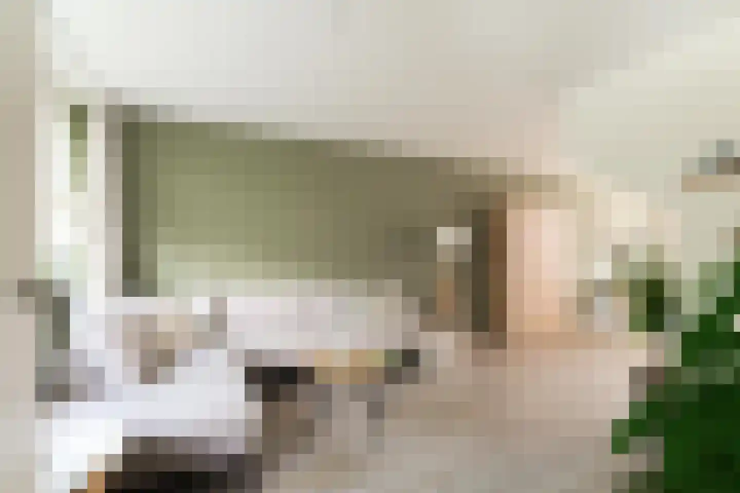 Vethstraat 6 Duiven thumbnail 12