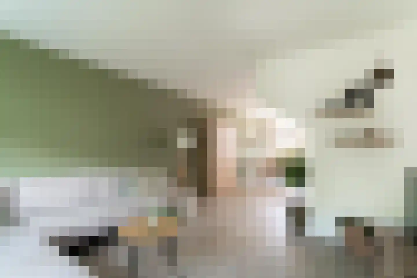 Vethstraat 6 Duiven thumbnail 13