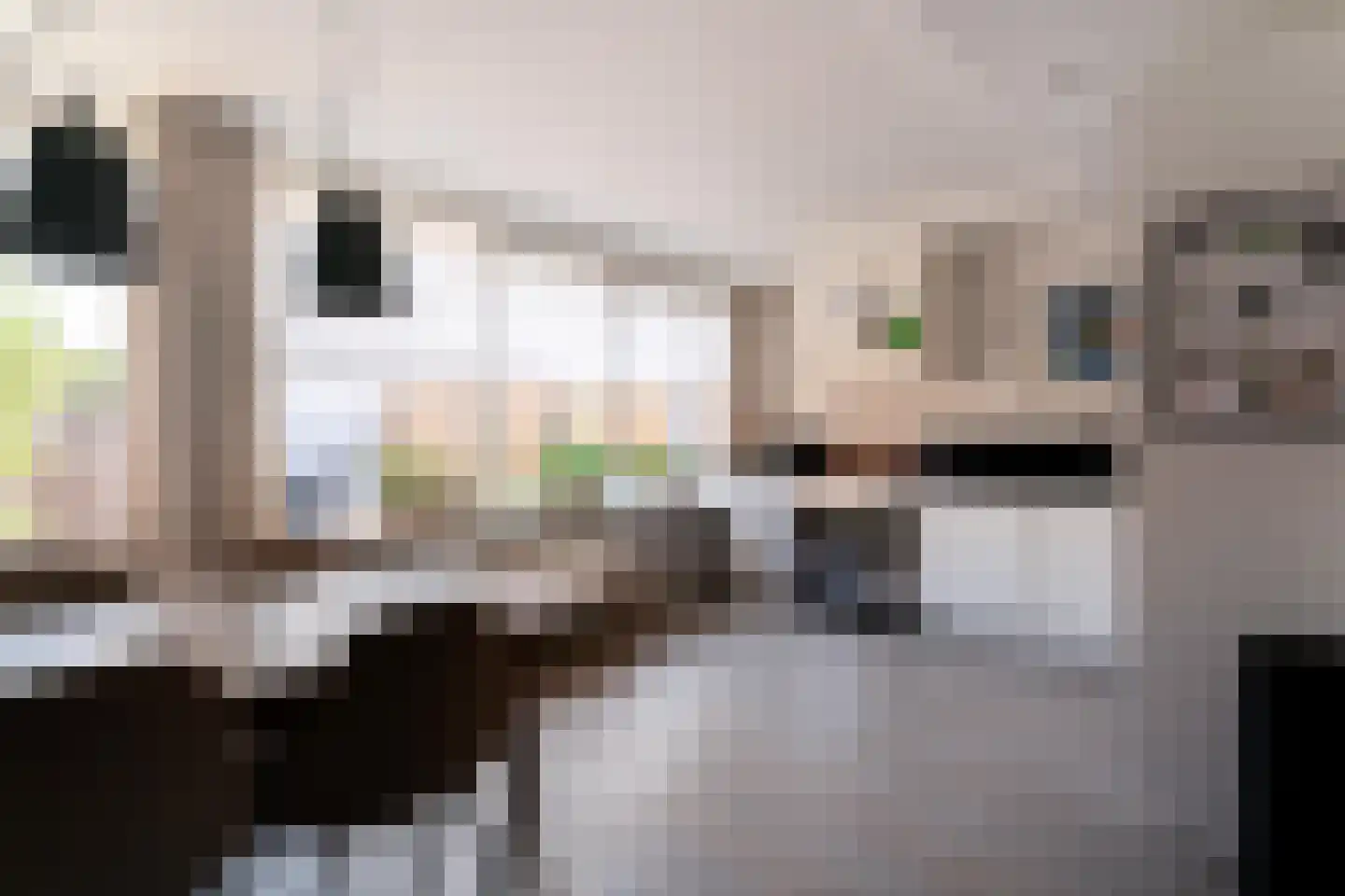 Vethstraat 6 Duiven thumbnail 14
