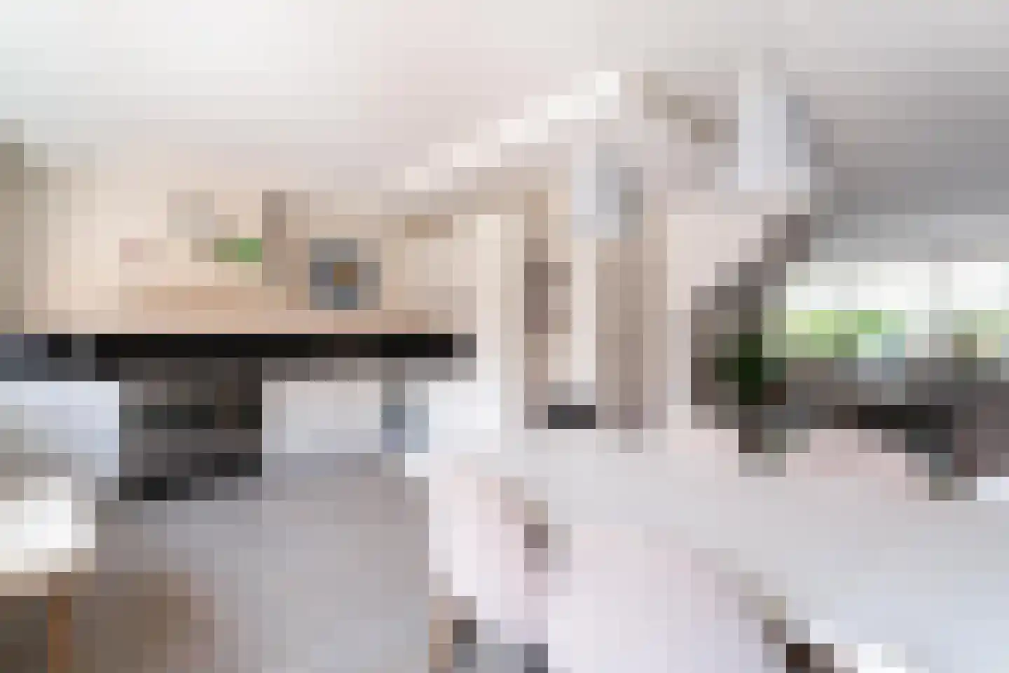 Vethstraat 6 Duiven thumbnail 18