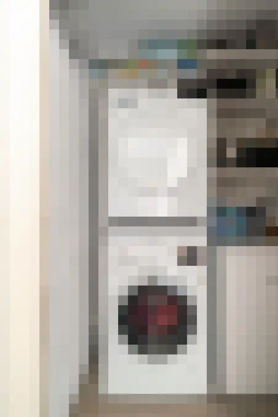 Vethstraat 6 Duiven thumbnail 20