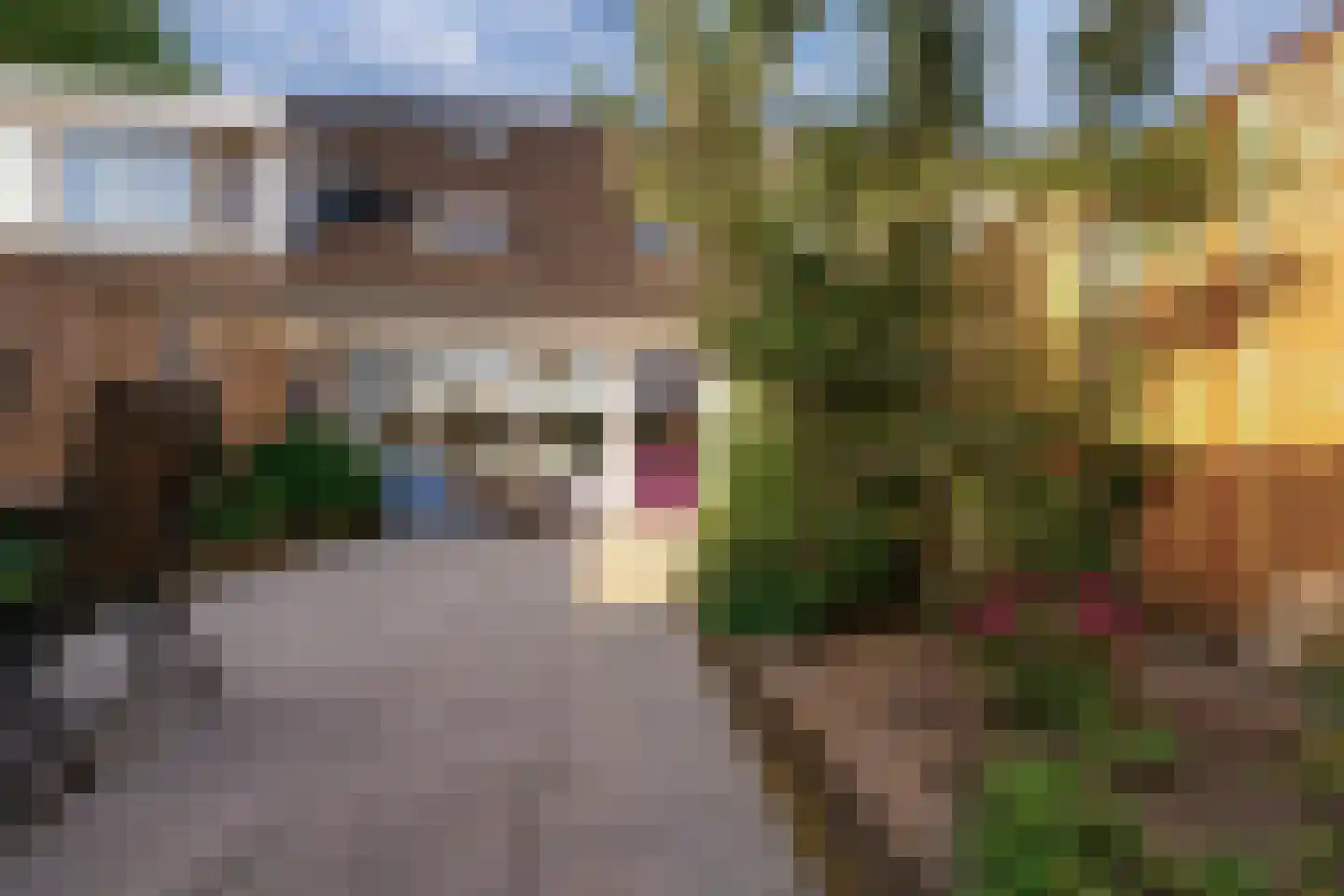 Vethstraat 6 Duiven thumbnail 24