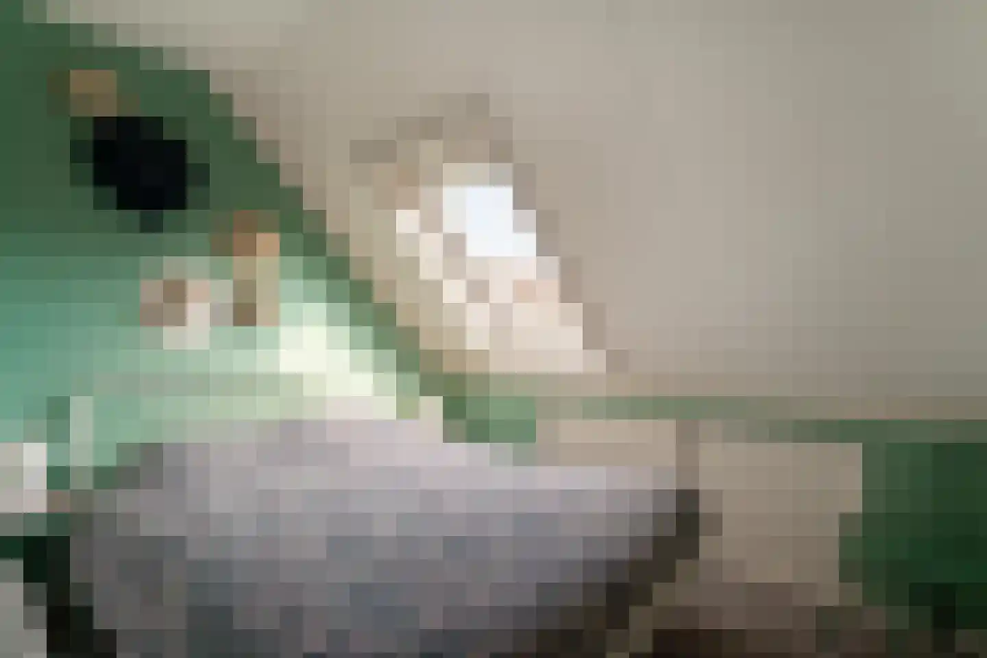 Vethstraat 6 Duiven thumbnail 32
