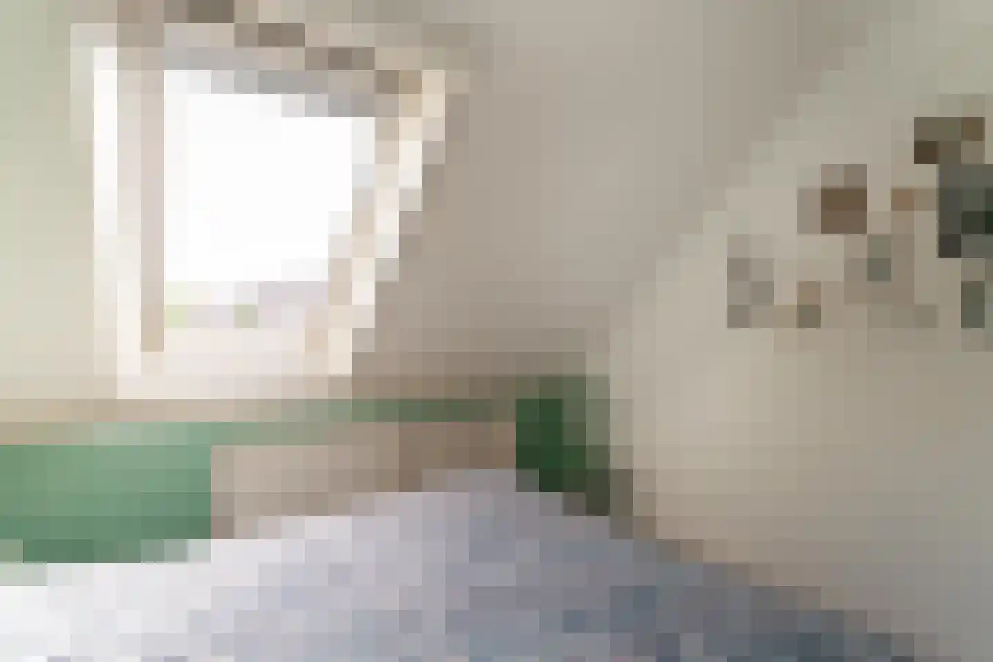 Vethstraat 6 Duiven thumbnail 33