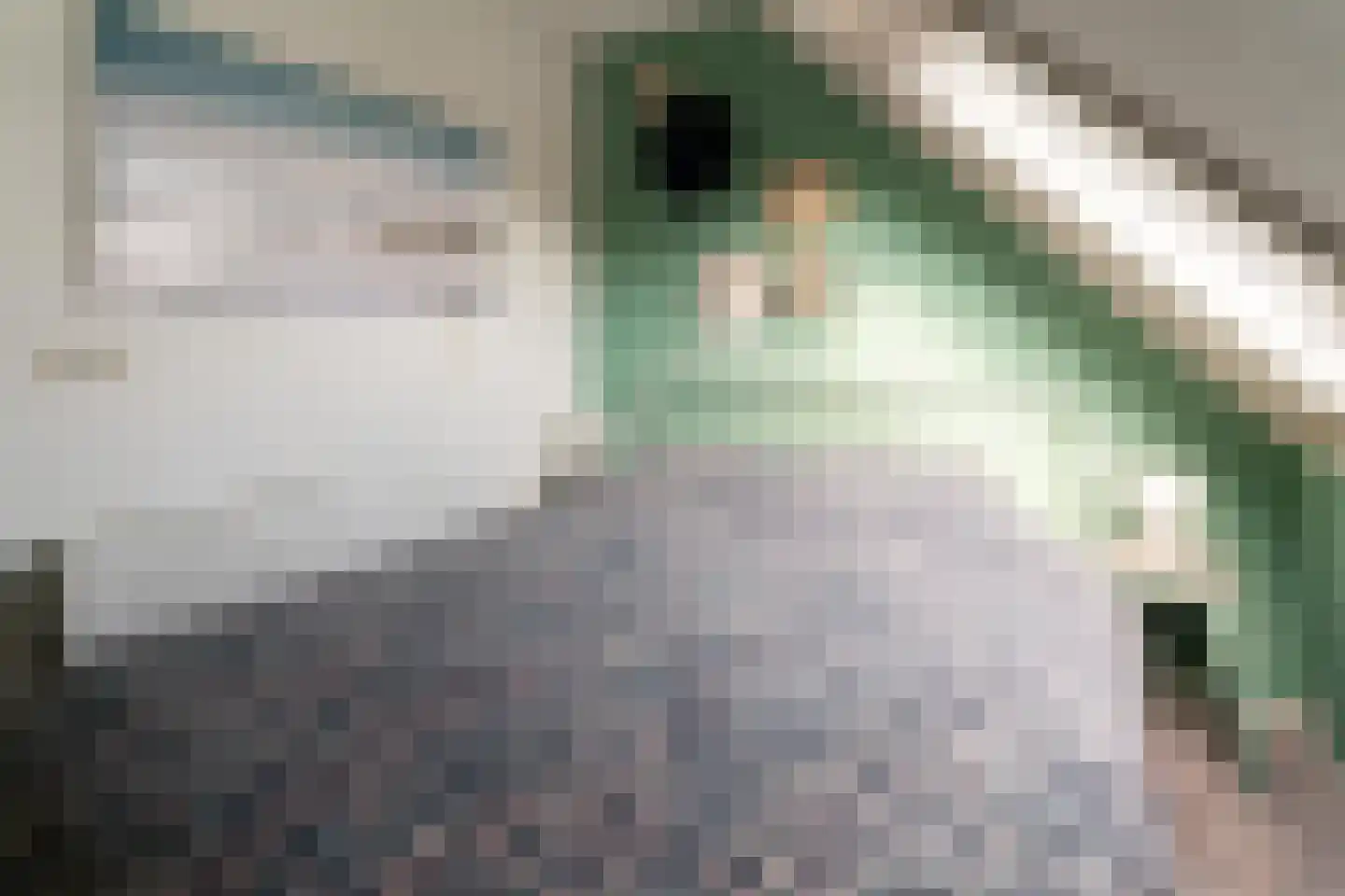 Vethstraat 6 Duiven thumbnail 34