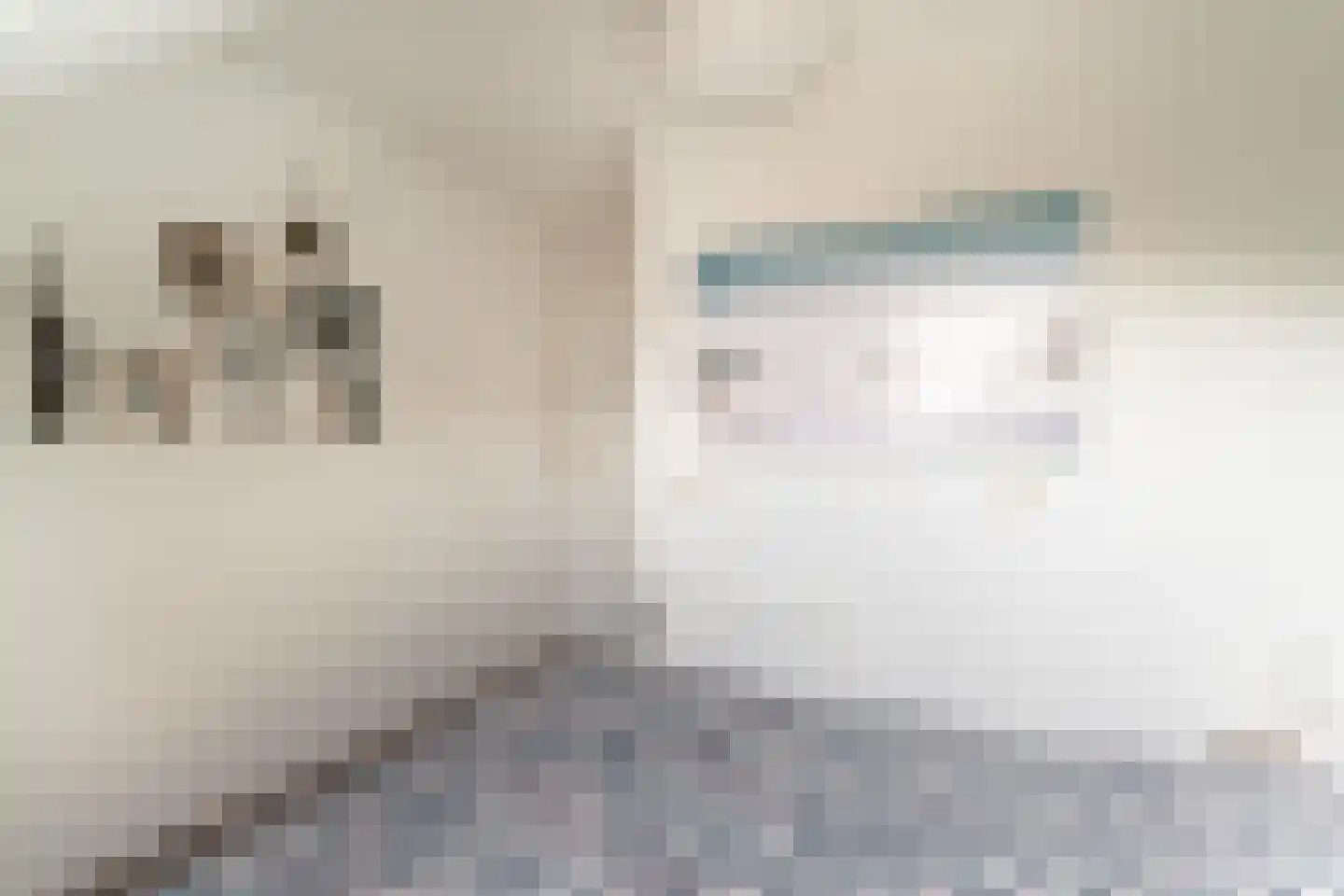 Vethstraat 6 Duiven thumbnail 35