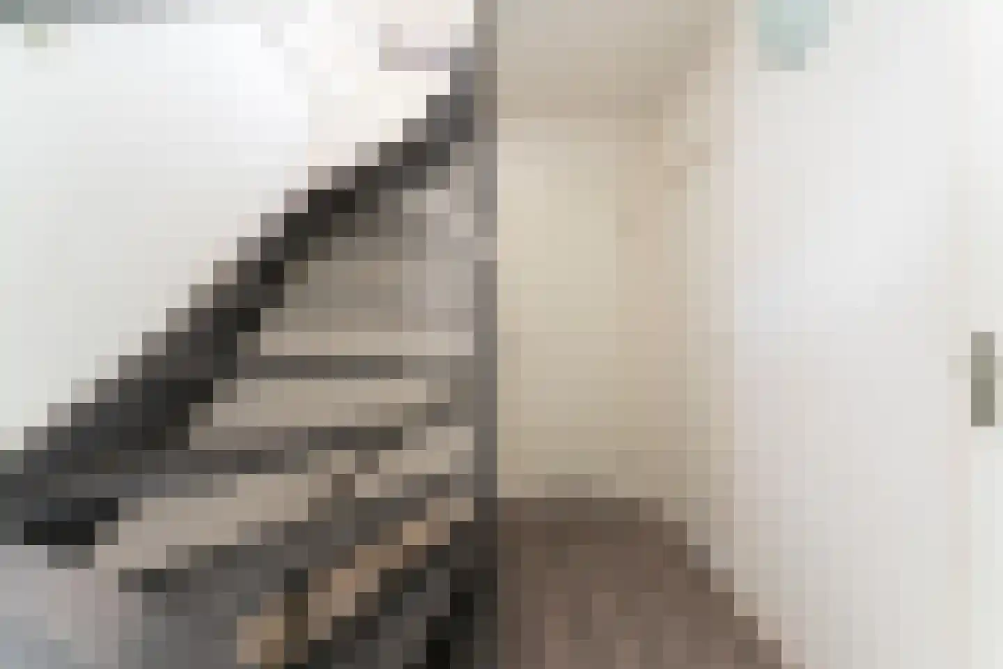 Vethstraat 6 Duiven thumbnail 38