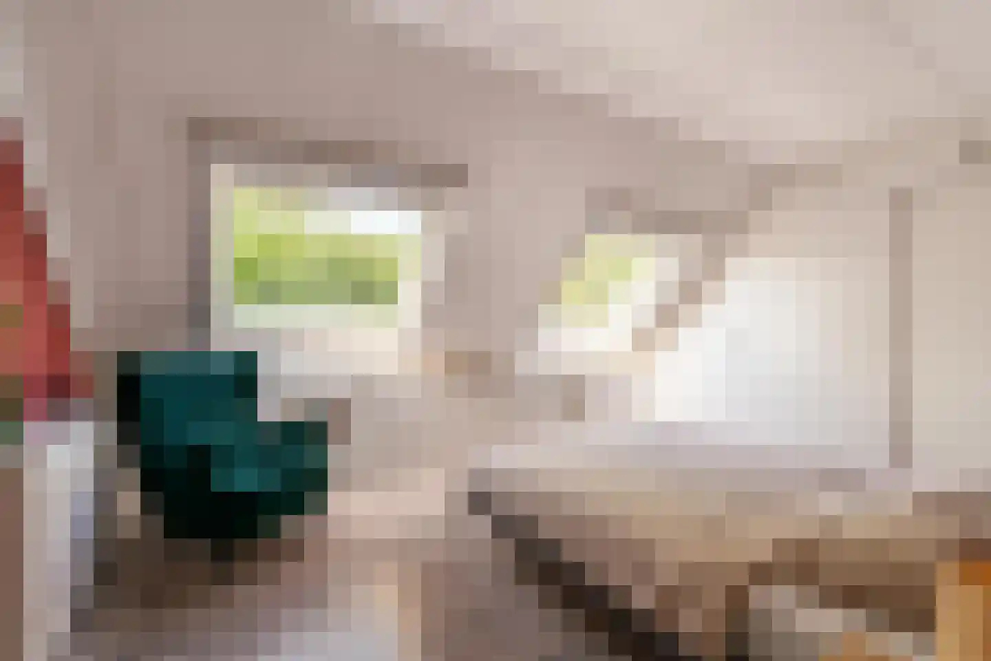 Vethstraat 6 Duiven thumbnail 39