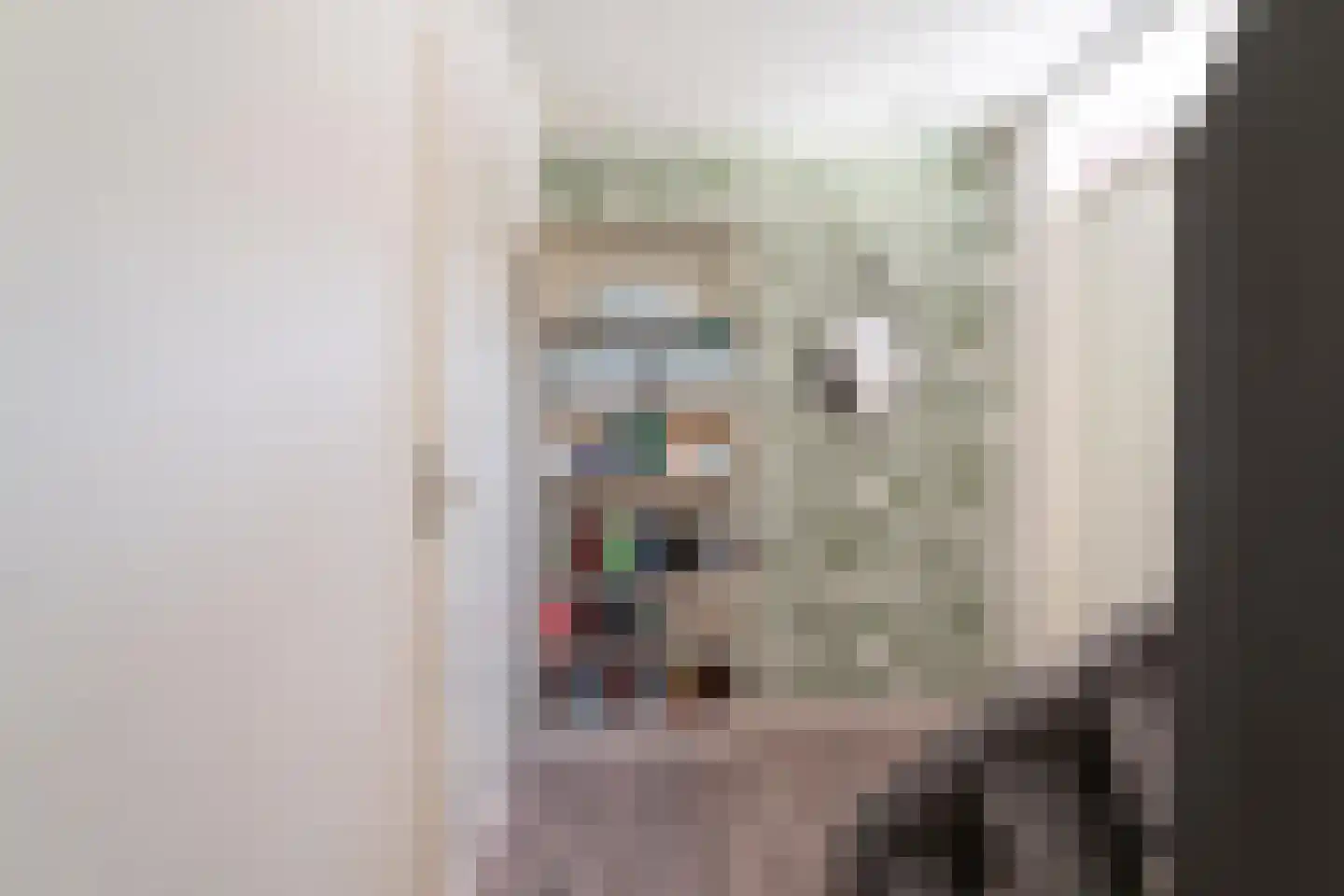 Vethstraat 6 Duiven thumbnail 41