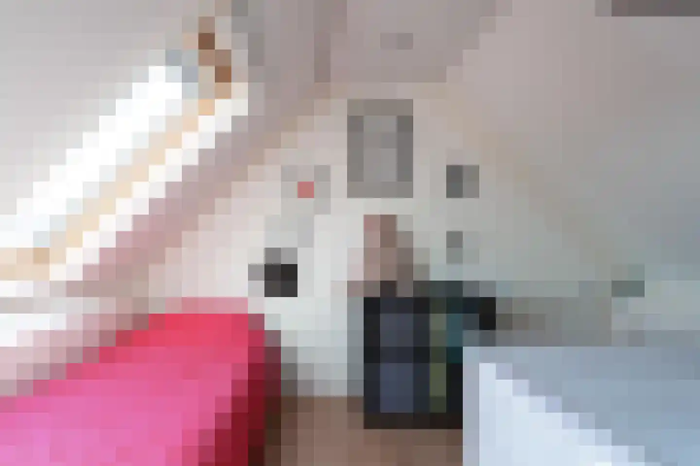 Vethstraat 6 Duiven thumbnail 42