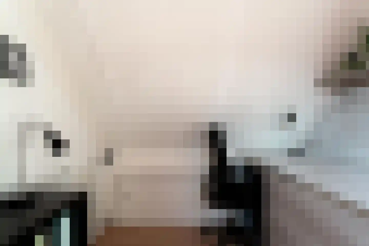 Vethstraat 6 Duiven thumbnail 44