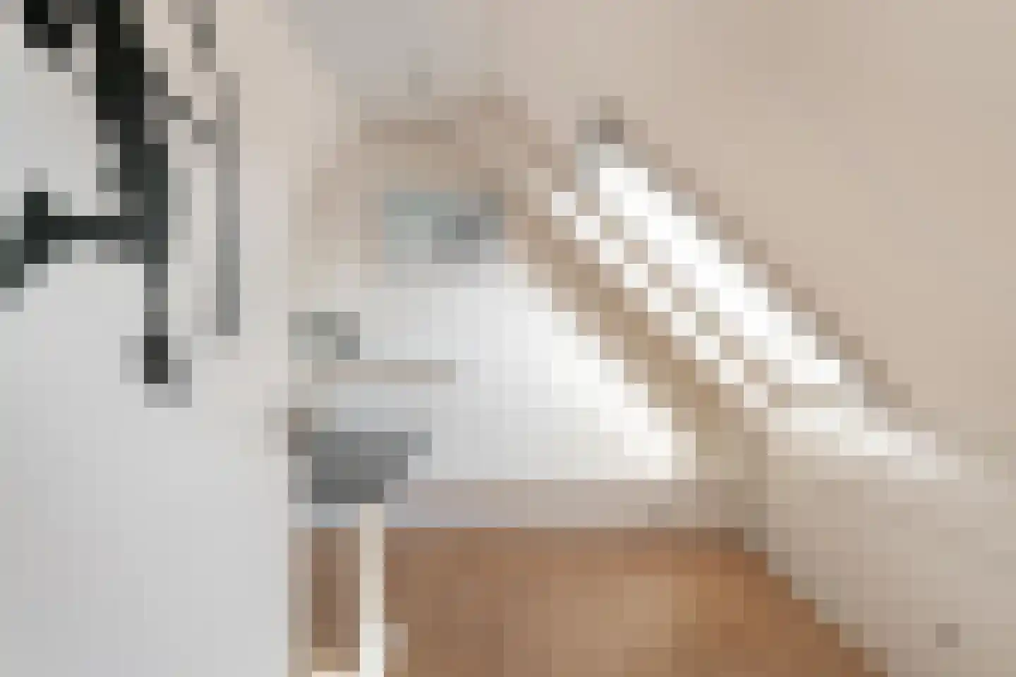 Vethstraat 6 Duiven thumbnail 45